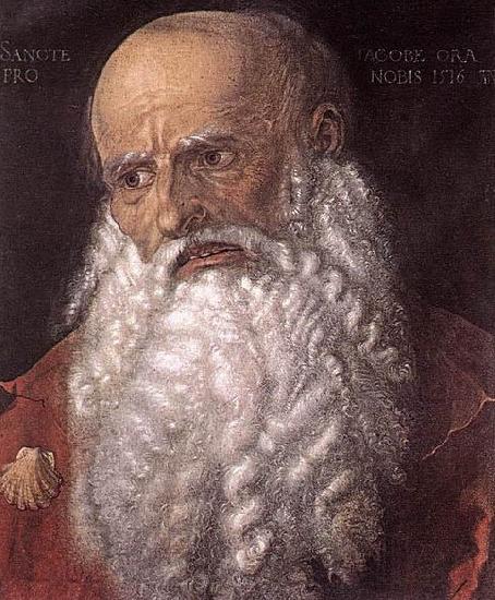 Albrecht Durer The Apostle James the Elder France oil painting art